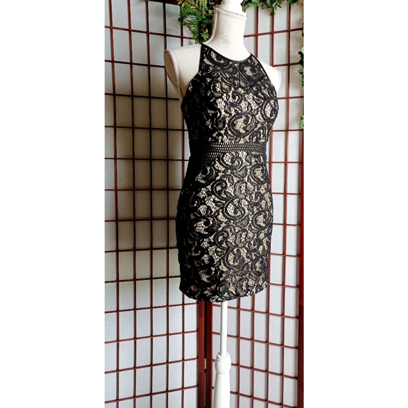 Dream ' Moon Halter Cutout Zip Back Lace Mini Dress - Picture 11 of 16